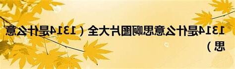 1314 意思